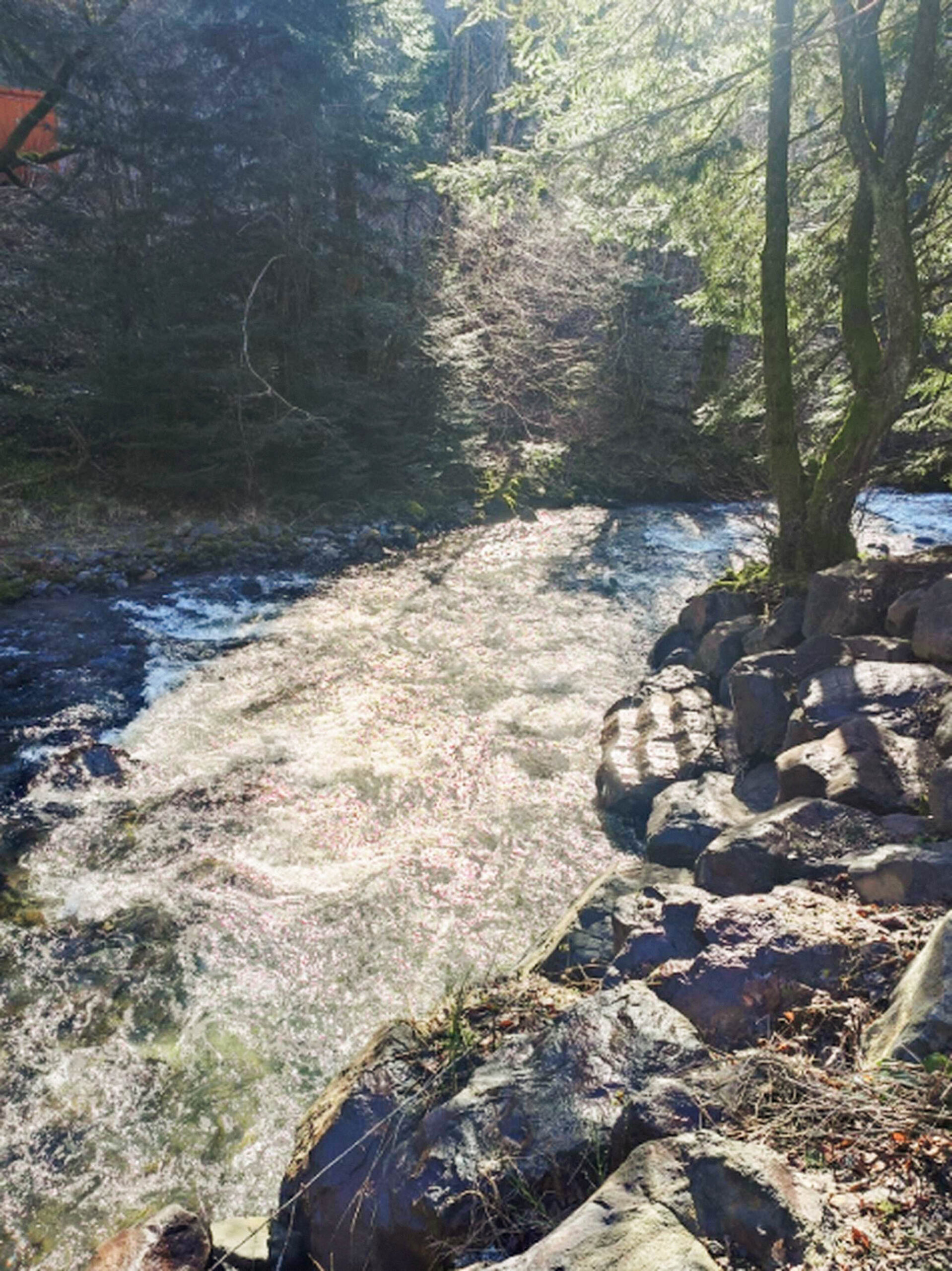 camping bord de rivière