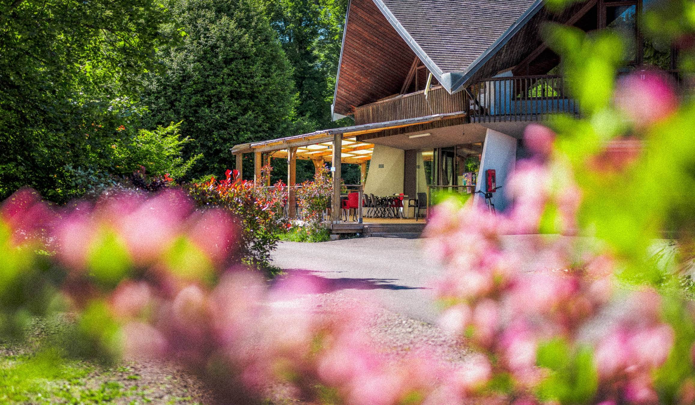 camping la marmotte restaurant