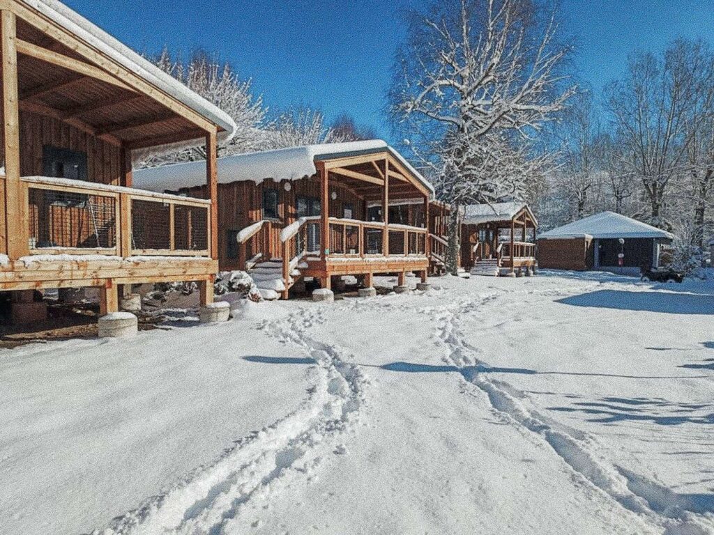 camping marmotte sous la neige