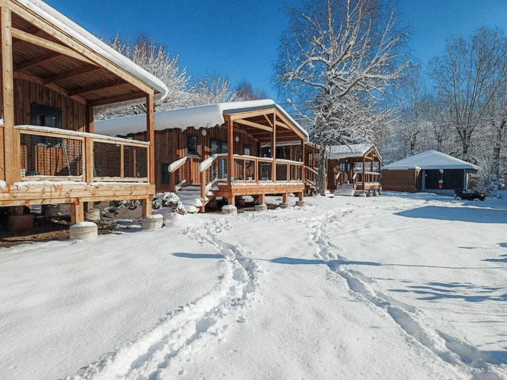 camping montagne marmotte