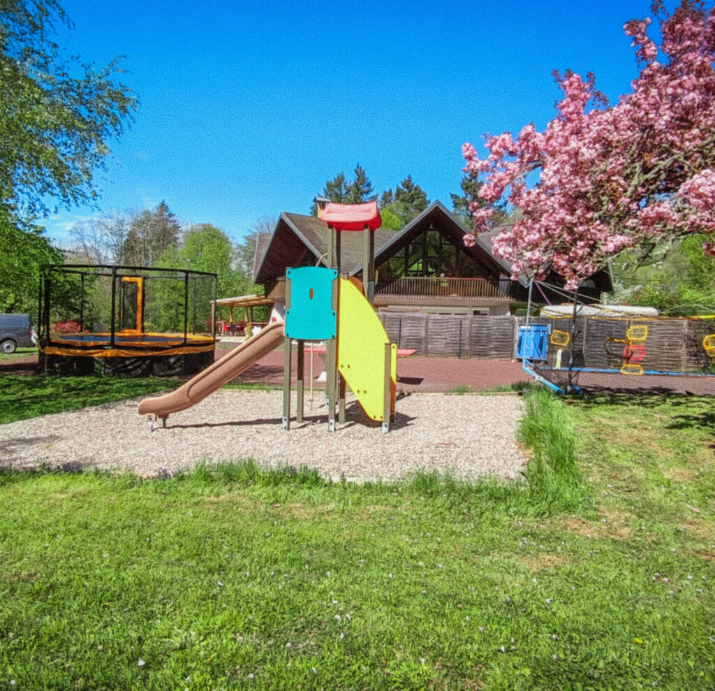 jeu avec arbre en fleurs ()