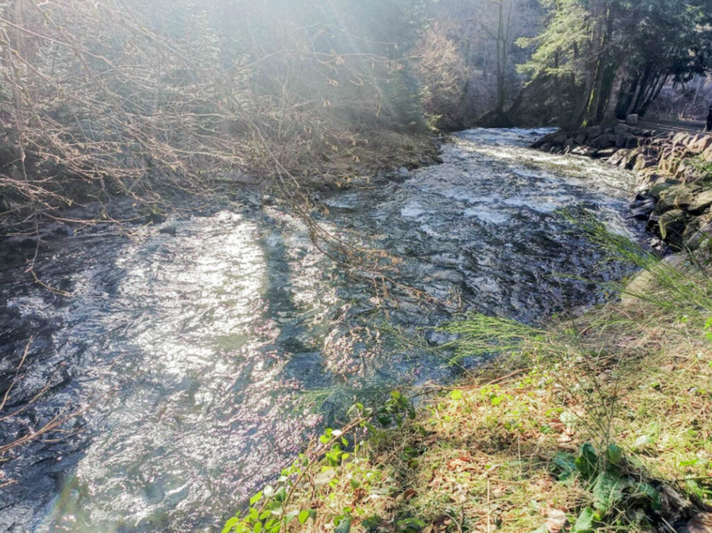 riviere proche du camping la marmotte