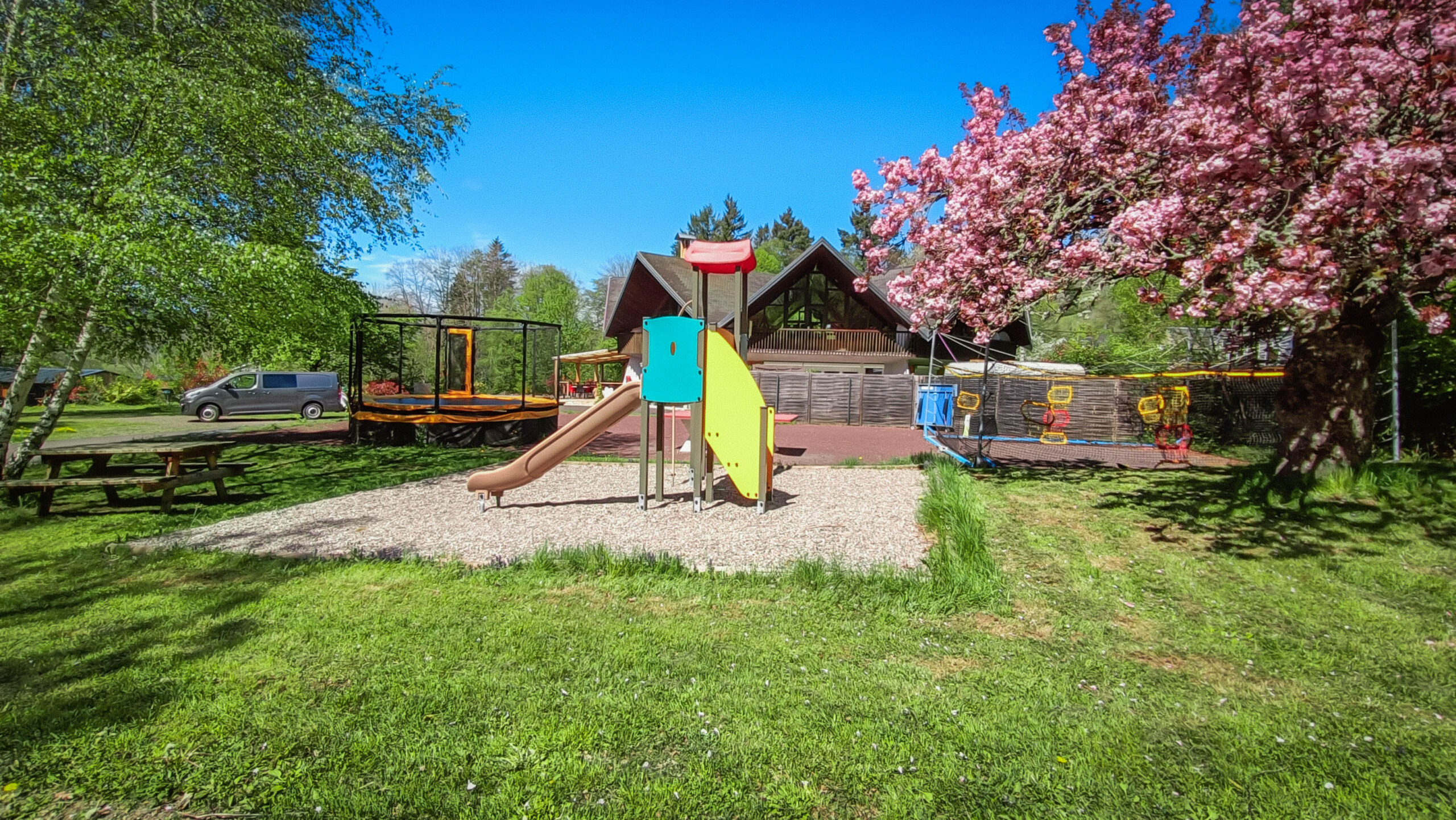 jeu avec arbre en fleurs